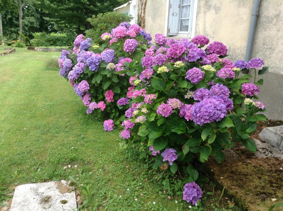 Chateau De Benac Bagian luar foto